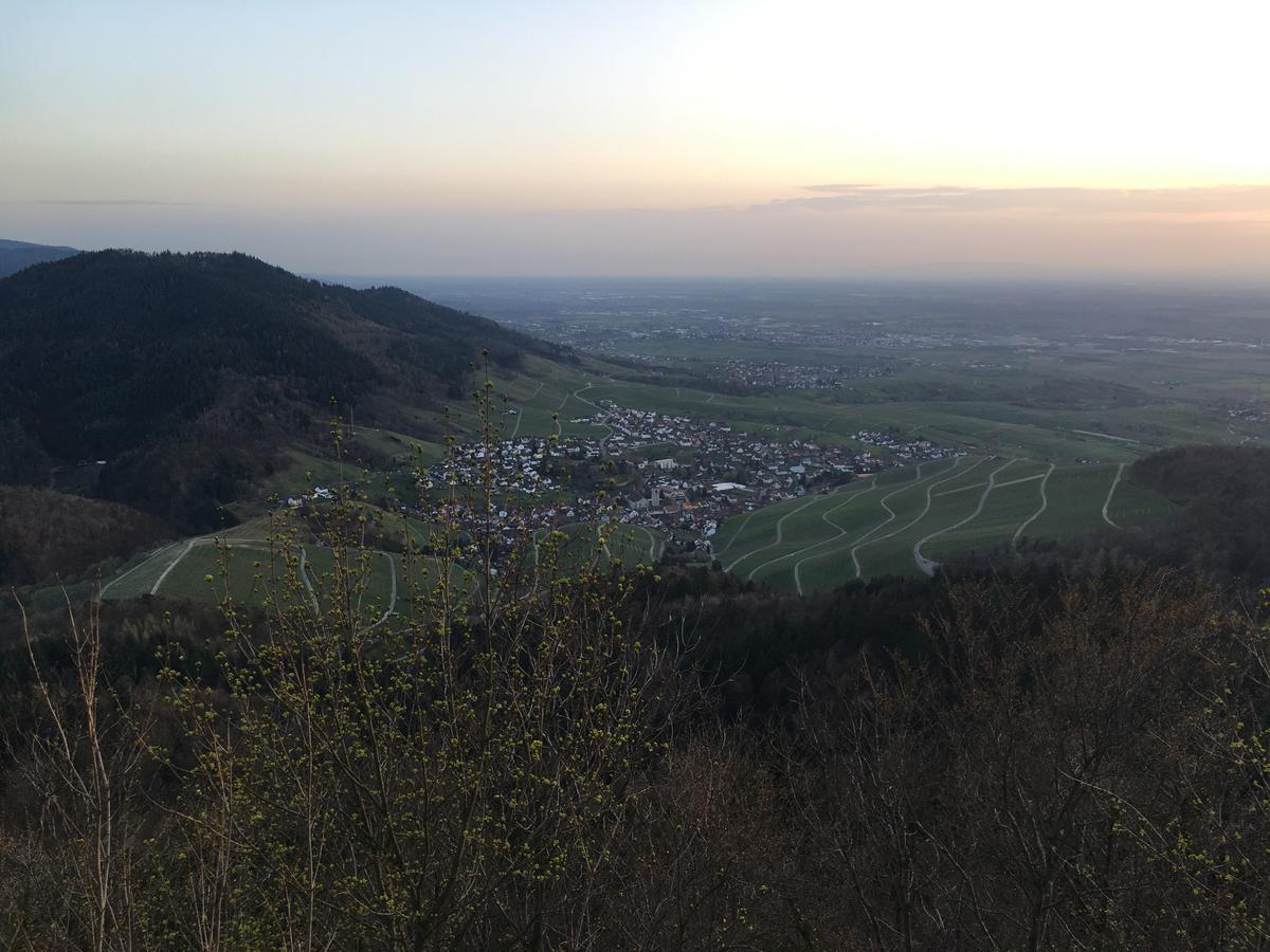 Hotel Roederhof บาเดน-บาเดน ภายนอก รูปภาพ